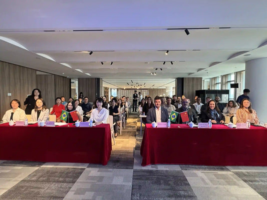 China-Brazil Enterprise Matchmaking Event Held in Shenzhen